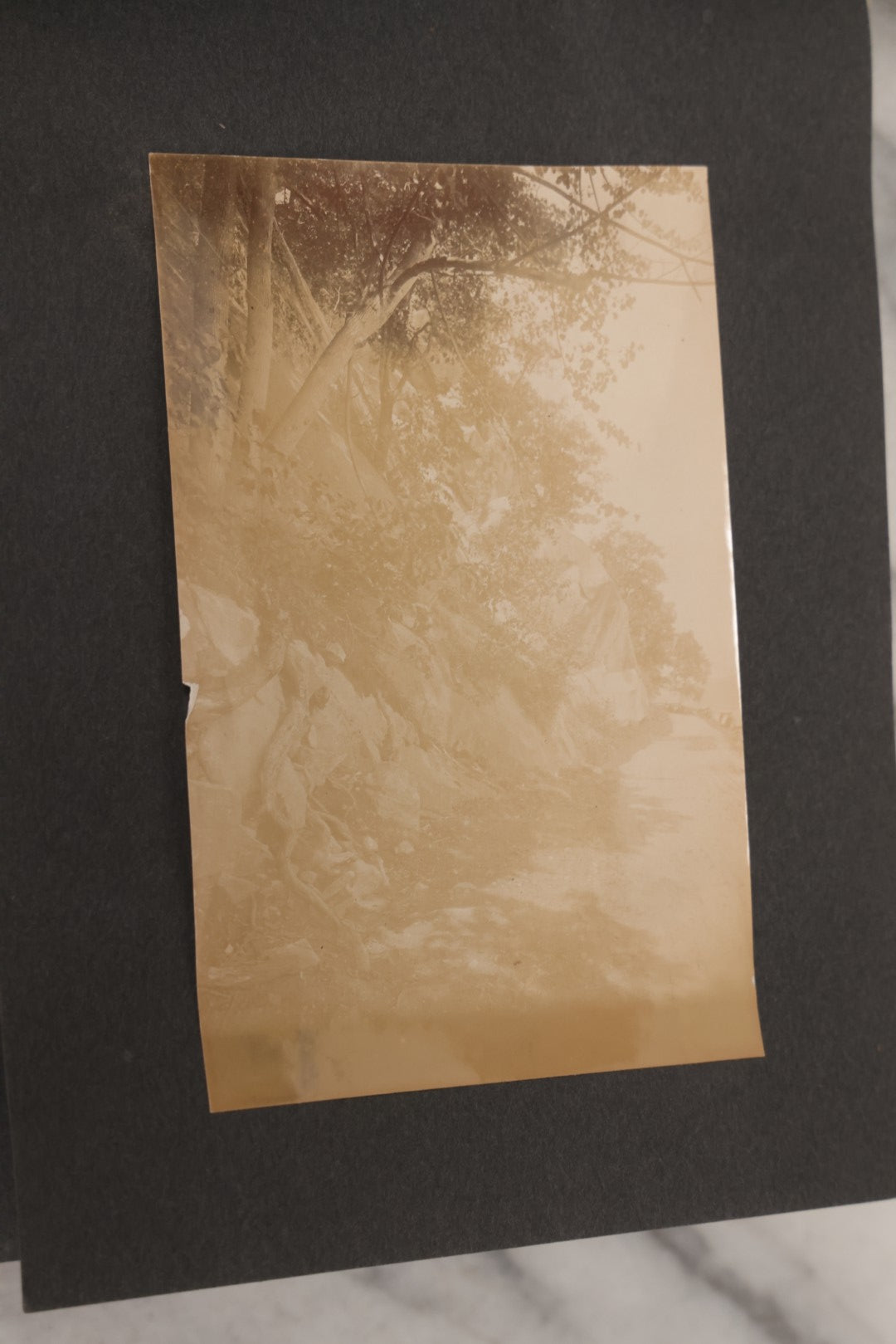 Lot 068 - Antique "Ward's Album For Unmounted Photographs" With 50+ Images Circa 1895-1910 Depicting Camping Trip With Campsite, Tent, Equipment, Lakes, Mountains, Canoes, Bicycle, Camera, And Piglets