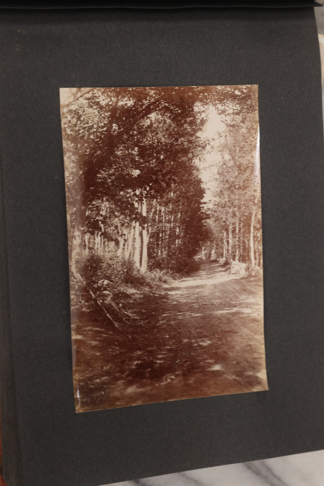 Lot 068 - Antique "Ward's Album For Unmounted Photographs" With 50+ Images Circa 1895-1910 Depicting Camping Trip With Campsite, Tent, Equipment, Lakes, Mountains, Canoes, Bicycle, Camera, And Piglets