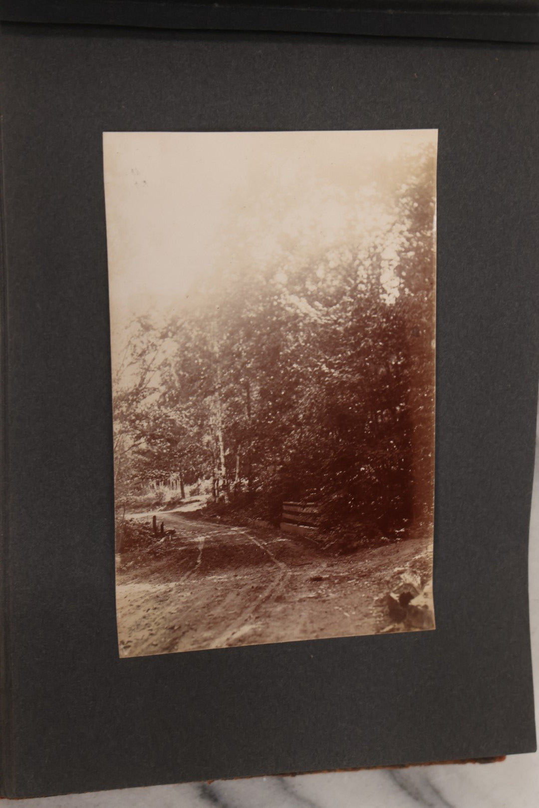 Lot 068 - Antique "Ward's Album For Unmounted Photographs" With 50+ Images Circa 1895-1910 Depicting Camping Trip With Campsite, Tent, Equipment, Lakes, Mountains, Canoes, Bicycle, Camera, And Piglets
