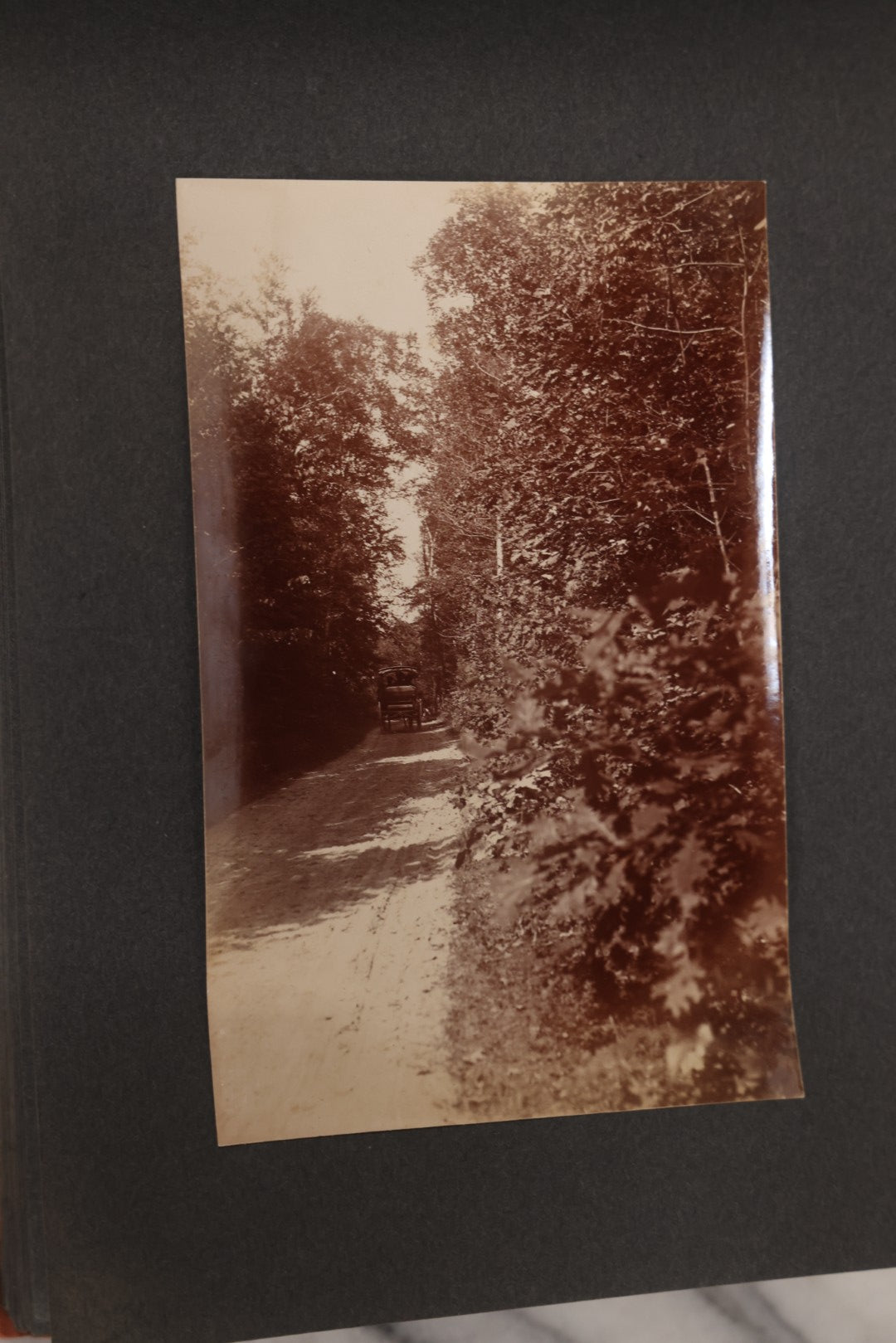 Lot 068 - Antique "Ward's Album For Unmounted Photographs" With 50+ Images Circa 1895-1910 Depicting Camping Trip With Campsite, Tent, Equipment, Lakes, Mountains, Canoes, Bicycle, Camera, And Piglets