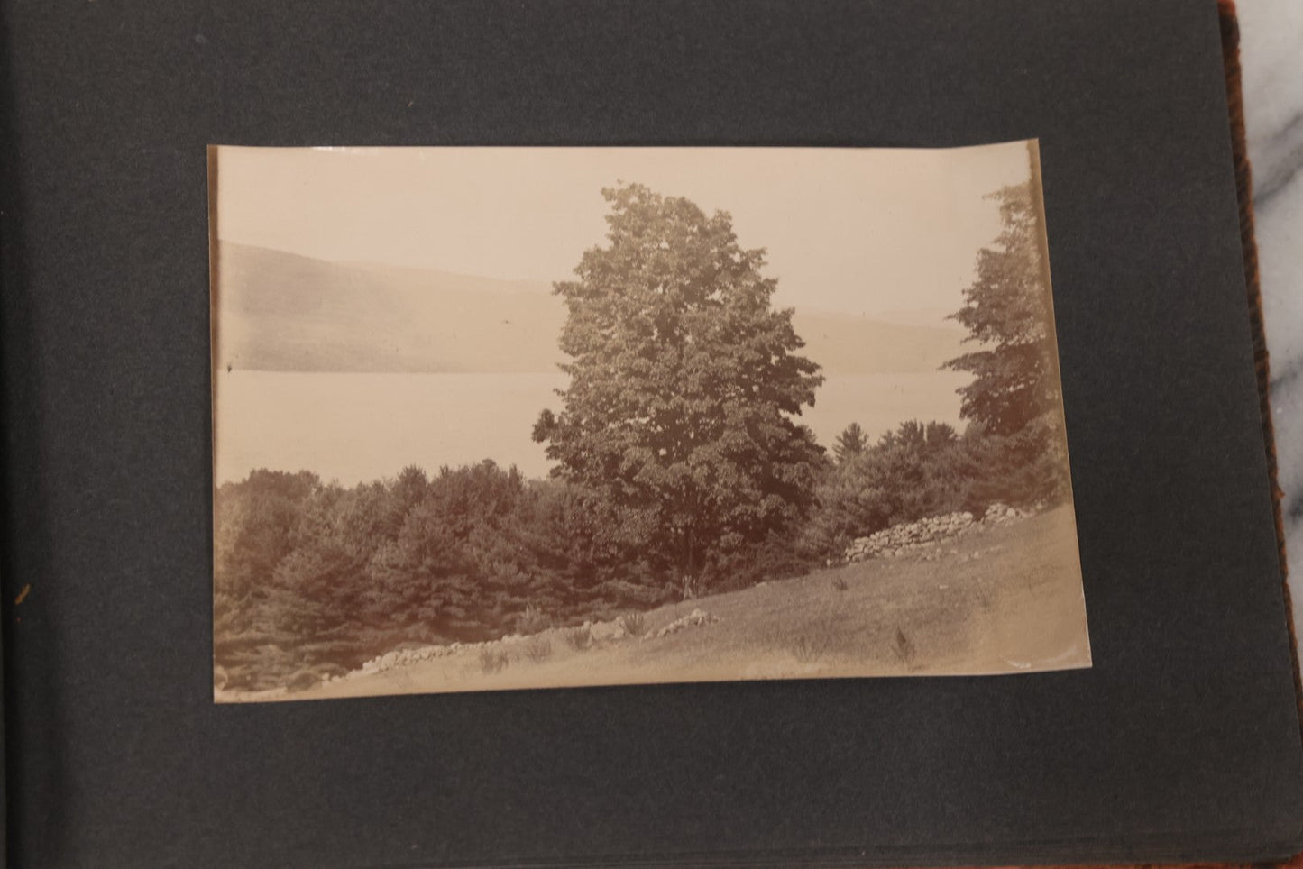 Lot 068 - Antique "Ward's Album For Unmounted Photographs" With 50+ Images Circa 1895-1910 Depicting Camping Trip With Campsite, Tent, Equipment, Lakes, Mountains, Canoes, Bicycle, Camera, And Piglets