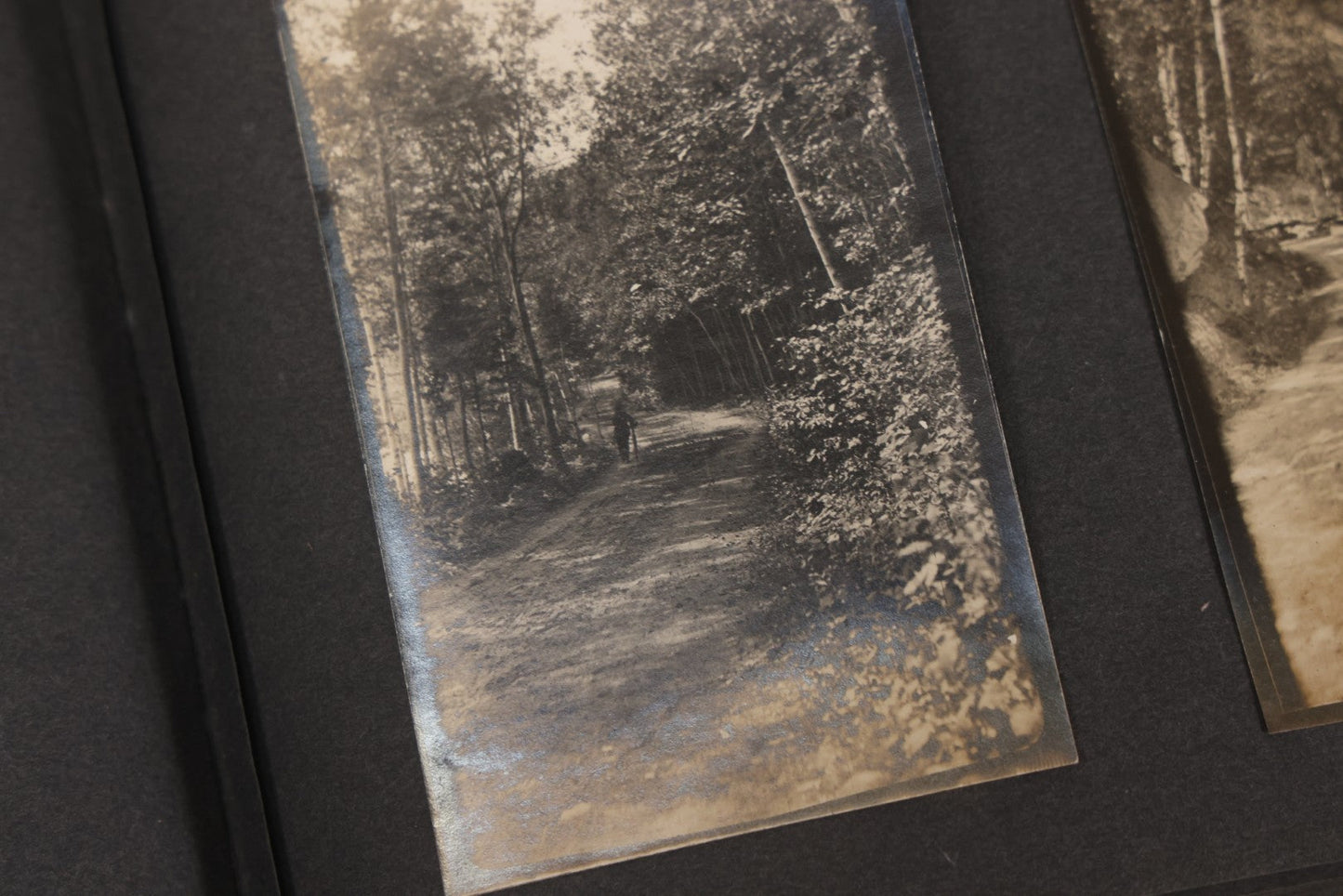 Lot 068 - Antique "Ward's Album For Unmounted Photographs" With 50+ Images Circa 1895-1910 Depicting Camping Trip With Campsite, Tent, Equipment, Lakes, Mountains, Canoes, Bicycle, Camera, And Piglets