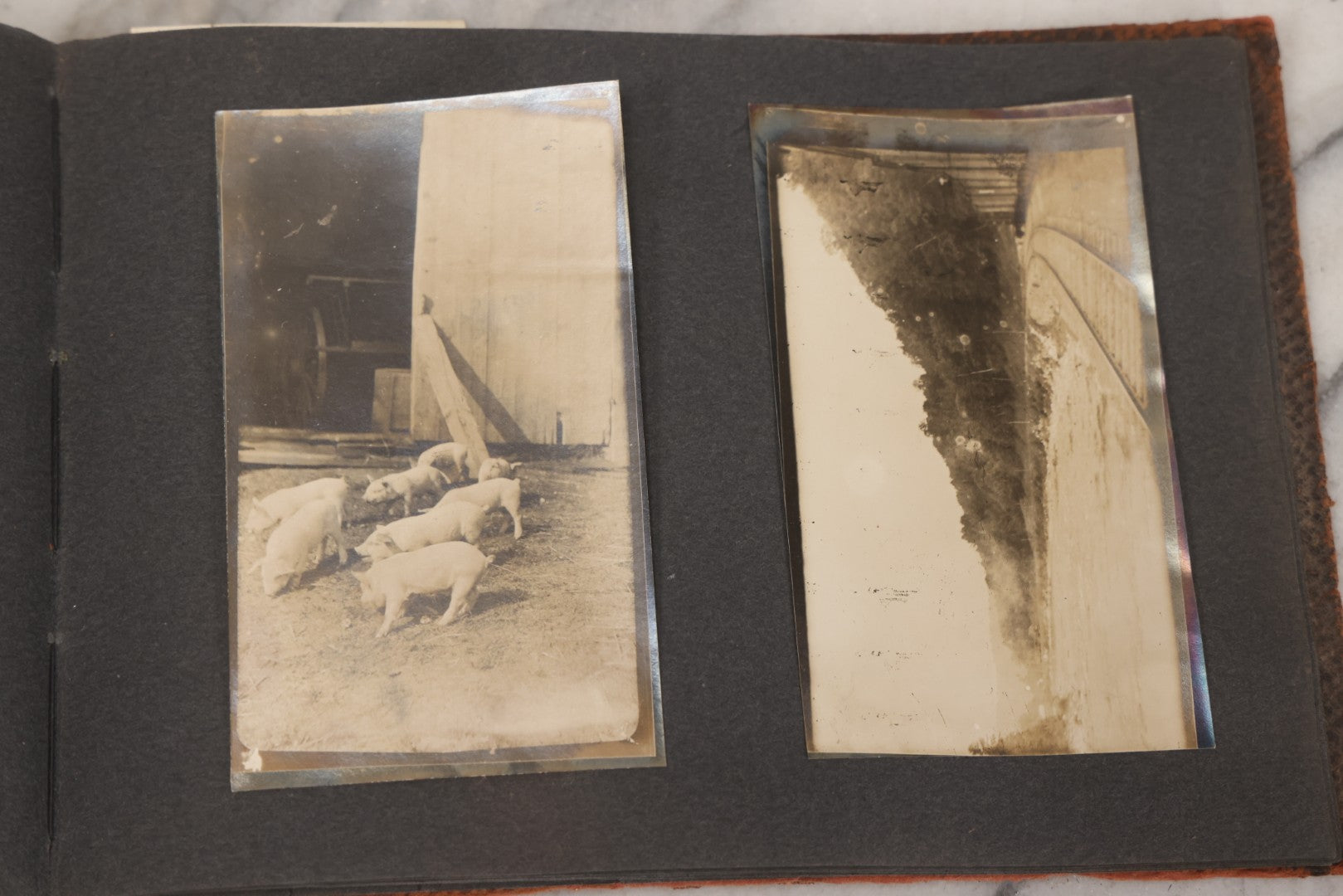 Lot 068 - Antique "Ward's Album For Unmounted Photographs" With 50+ Images Circa 1895-1910 Depicting Camping Trip With Campsite, Tent, Equipment, Lakes, Mountains, Canoes, Bicycle, Camera, And Piglets
