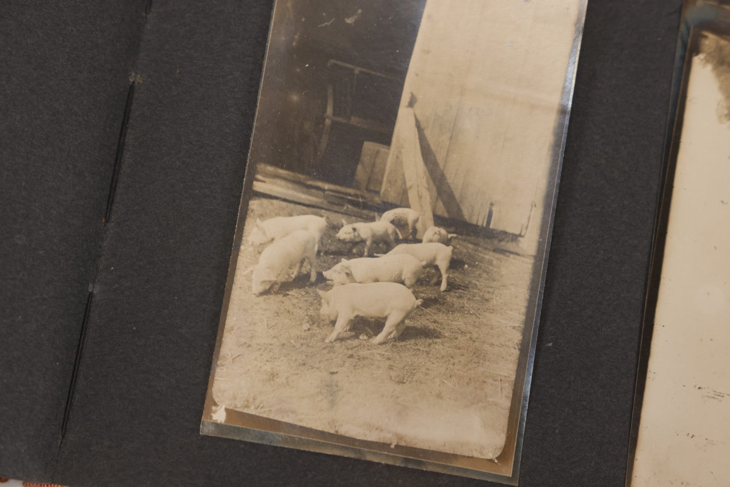 Lot 068 - Antique "Ward's Album For Unmounted Photographs" With 50+ Images Circa 1895-1910 Depicting Camping Trip With Campsite, Tent, Equipment, Lakes, Mountains, Canoes, Bicycle, Camera, And Piglets