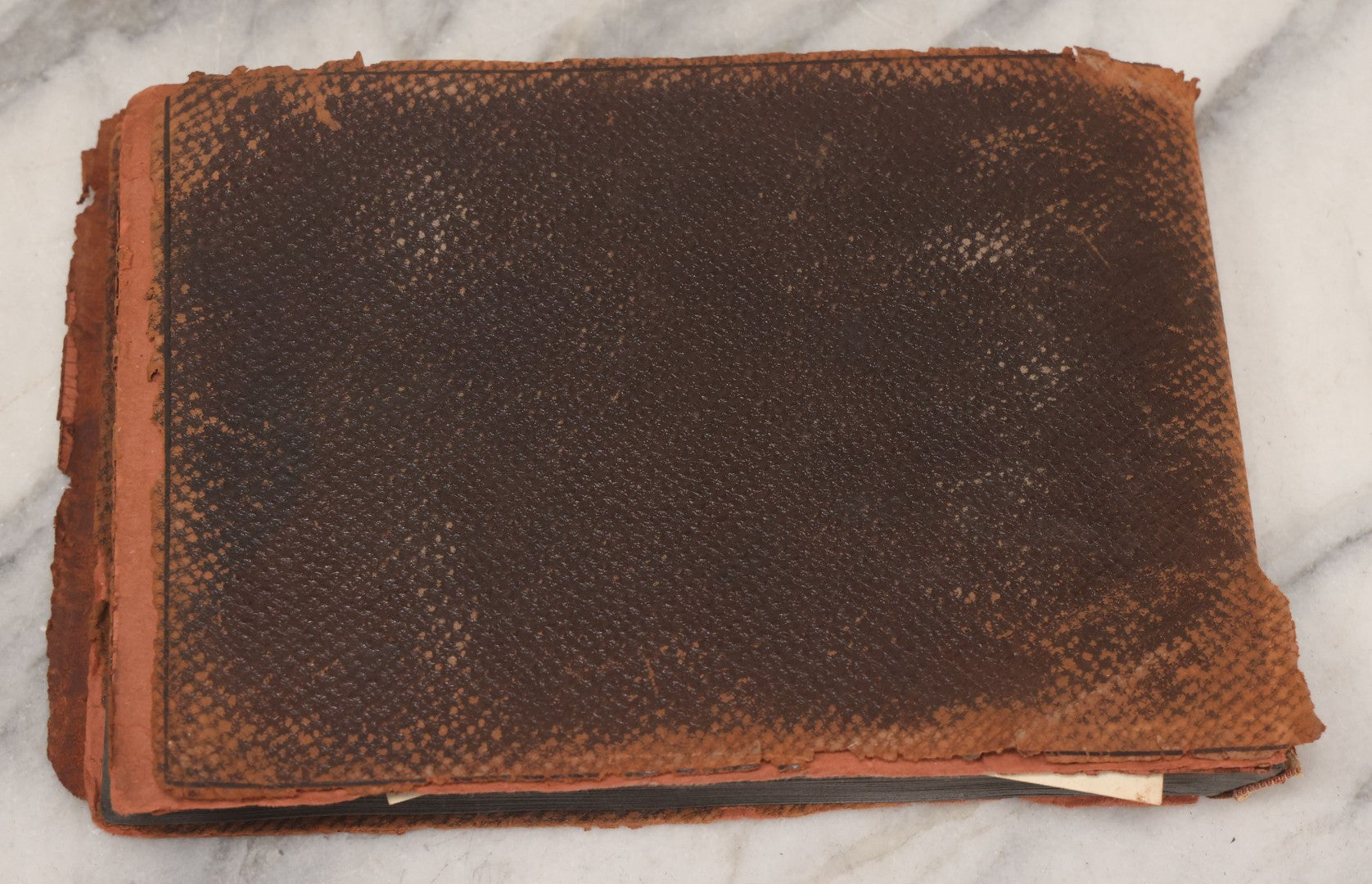 Lot 068 - Antique "Ward's Album For Unmounted Photographs" With 50+ Images Circa 1895-1910 Depicting Camping Trip With Campsite, Tent, Equipment, Lakes, Mountains, Canoes, Bicycle, Camera, And Piglets