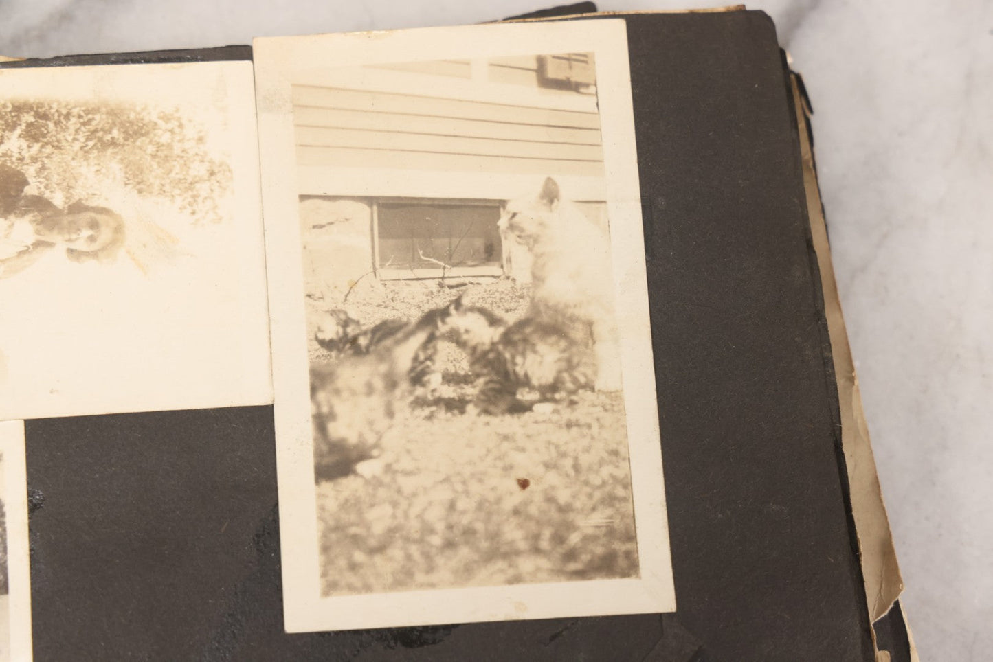 Lot 069 - Antique Snapshot Photograph Album With 100+ Images Circa 1920-1930 Including Beach Scenes In Period Swimwear, Cats And Kittens, Young Boy With American Flag, And Mechanic Working On Early Automobile