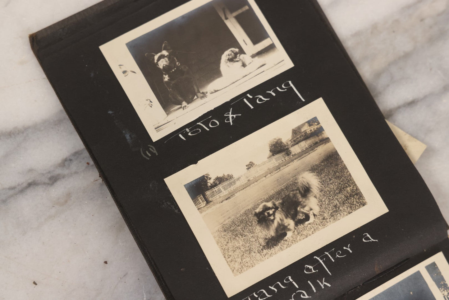 Lot 070 - Antique Snapshot Photograph Album With 25+ Images Taken Summer 1919 With No. 2 Brownie Camera By William W. Hoppkin Jr., Southampton, Long Island, Including Dogs Toto And Tang, "Maidstone", Montauk Light House