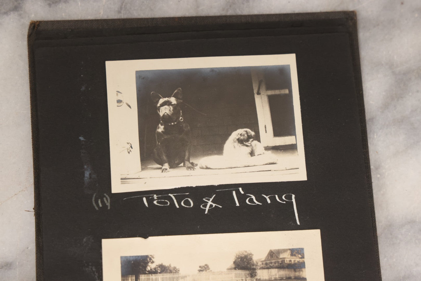 Lot 070 - Antique Snapshot Photograph Album With 25+ Images Taken Summer 1919 With No. 2 Brownie Camera By William W. Hoppkin Jr., Southampton, Long Island, Including Dogs Toto And Tang, "Maidstone", Montauk Light House