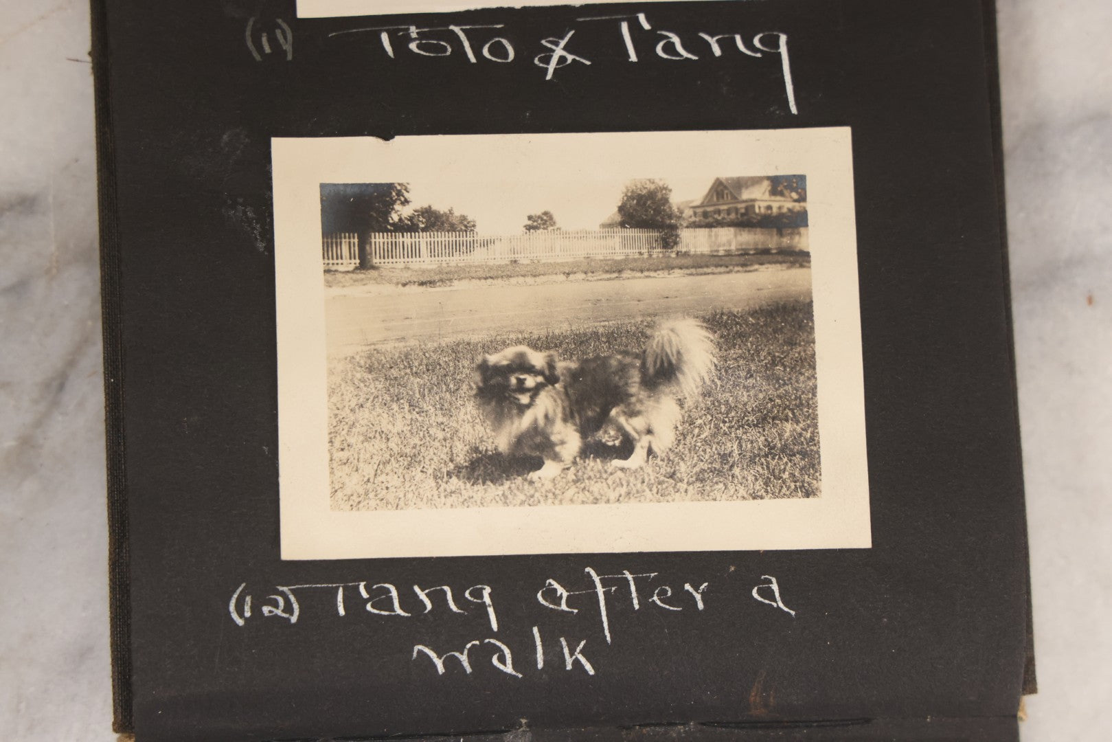 Lot 070 - Antique Snapshot Photograph Album With 25+ Images Taken Summer 1919 With No. 2 Brownie Camera By William W. Hoppkin Jr., Southampton, Long Island, Including Dogs Toto And Tang, "Maidstone", Montauk Light House