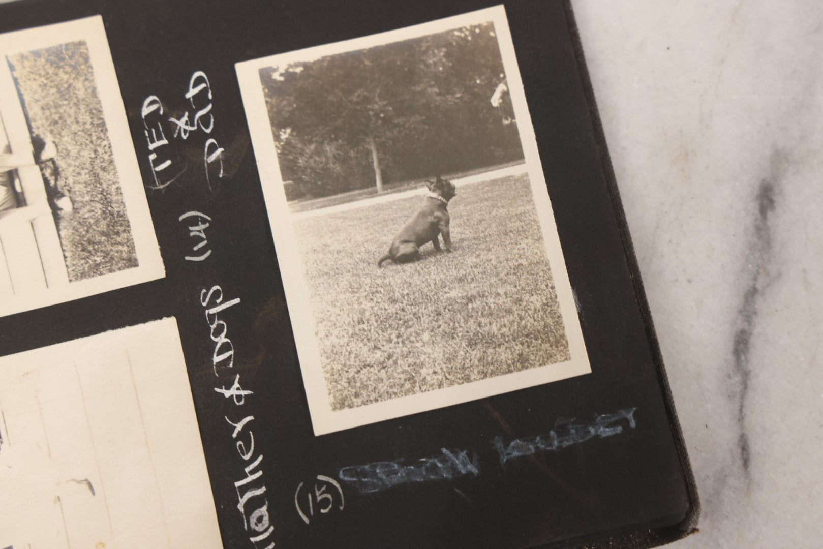 Lot 070 - Antique Snapshot Photograph Album With 25+ Images Taken Summer 1919 With No. 2 Brownie Camera By William W. Hoppkin Jr., Southampton, Long Island, Including Dogs Toto And Tang, "Maidstone", Montauk Light House