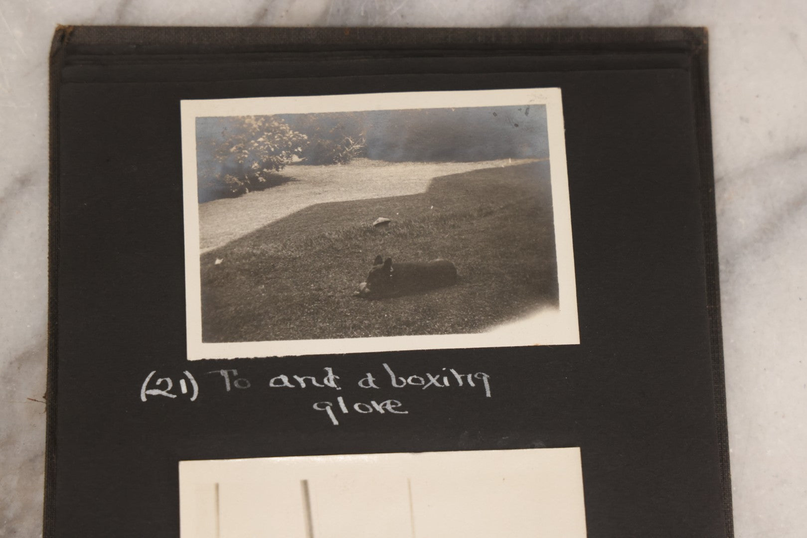 Lot 070 - Antique Snapshot Photograph Album With 25+ Images Taken Summer 1919 With No. 2 Brownie Camera By William W. Hoppkin Jr., Southampton, Long Island, Including Dogs Toto And Tang, "Maidstone", Montauk Light House