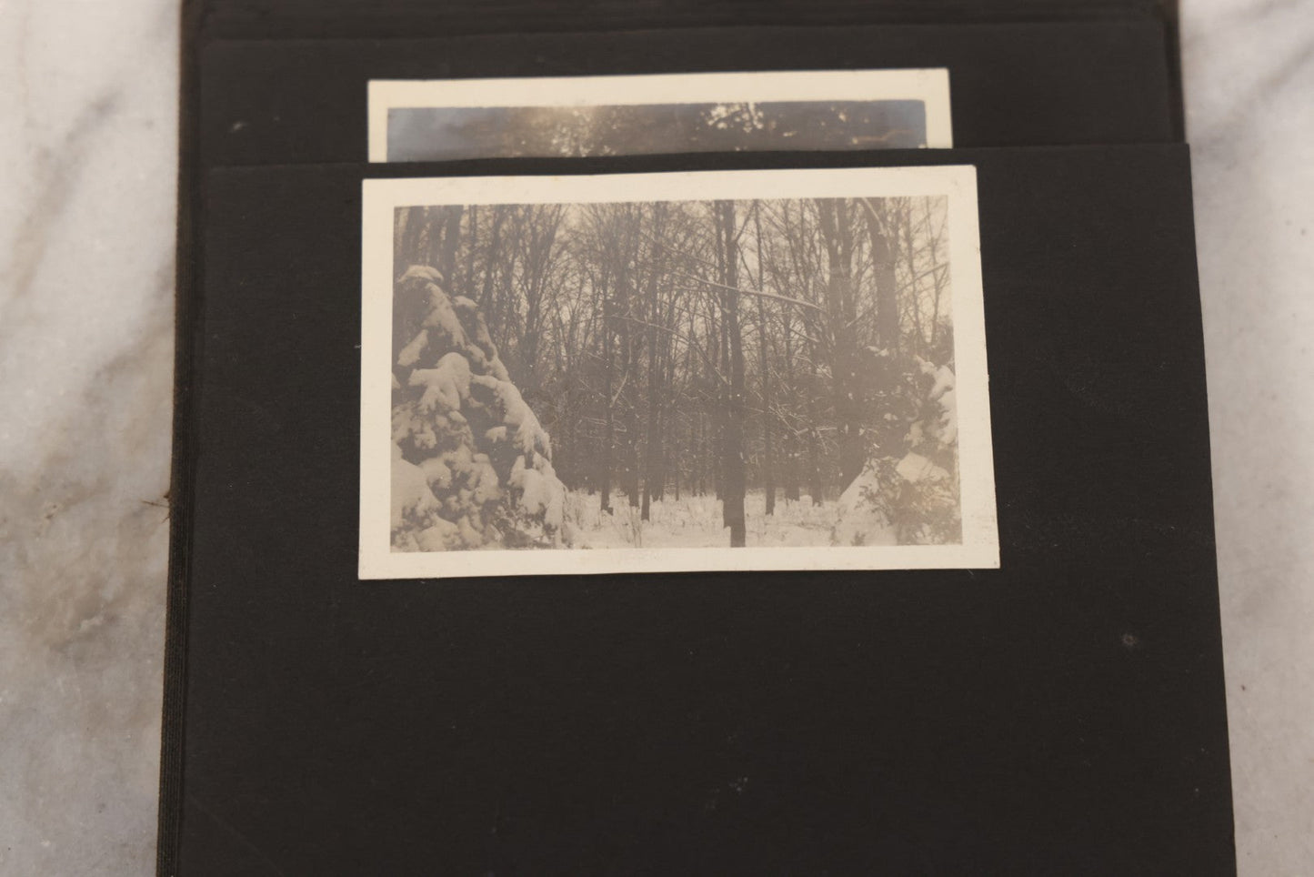 Lot 070 - Antique Snapshot Photograph Album With 25+ Images Taken Summer 1919 With No. 2 Brownie Camera By William W. Hoppkin Jr., Southampton, Long Island, Including Dogs Toto And Tang, "Maidstone", Montauk Light House