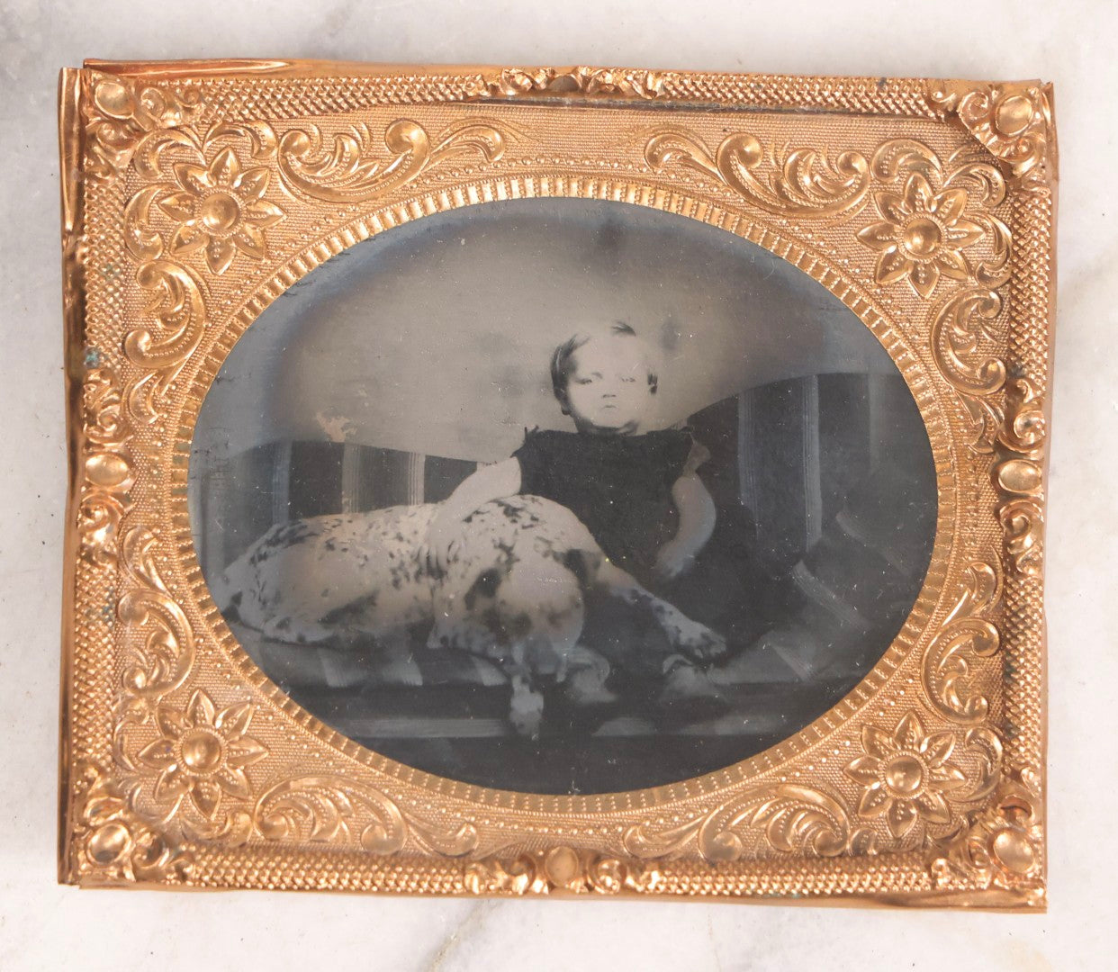 Lot 133 - Antique 1/6th Plate Tintype Photograph Of Child Seated With Dalmatian Dog, Uncased With Gilt Brass Mat