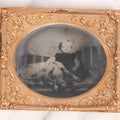 Lot 133 - Antique 1/6th Plate Tintype Photograph Of Child Seated With Dalmatian Dog, Uncased With Gilt Brass Mat