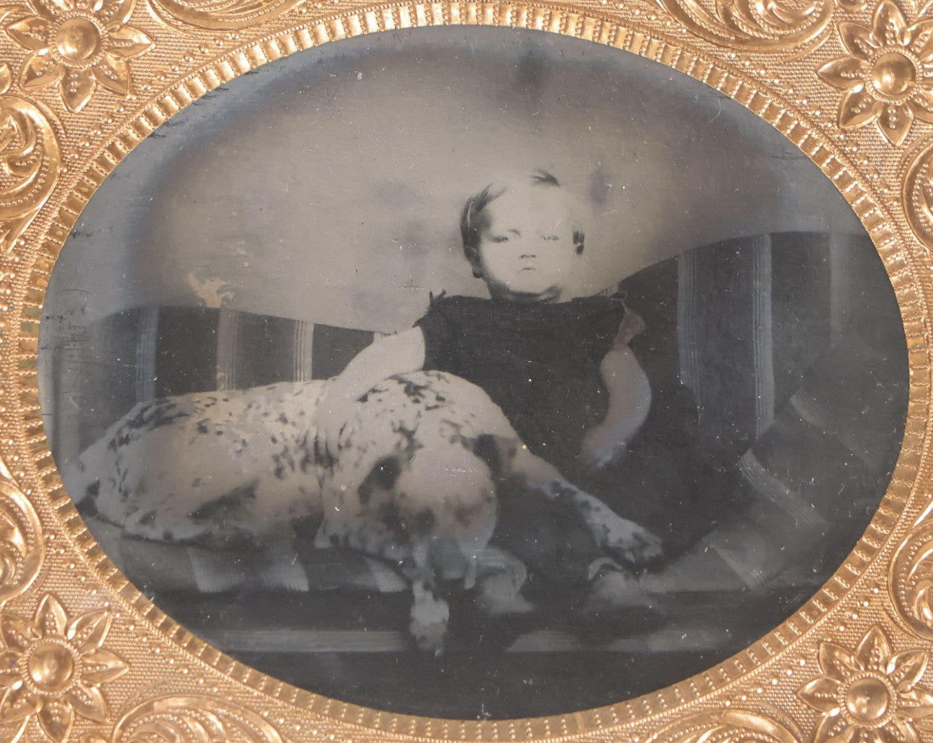 Lot 133 - Antique 1/6th Plate Tintype Photograph Of Child Seated With Dalmatian Dog, Uncased With Gilt Brass Mat