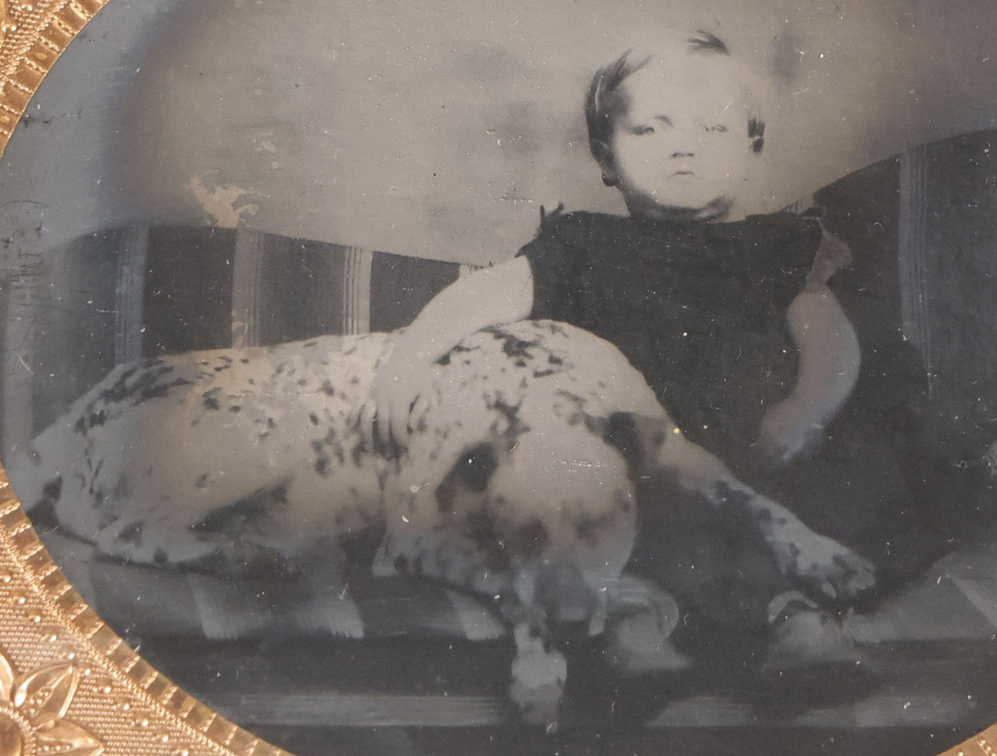 Lot 133 - Antique 1/6th Plate Tintype Photograph Of Child Seated With Dalmatian Dog, Uncased With Gilt Brass Mat