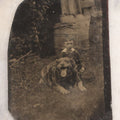 Lot 135 - Antique Uncased Tintype Photograph Depicting Young Boy And His Really, Really Happy Dog In Outdoor Setting