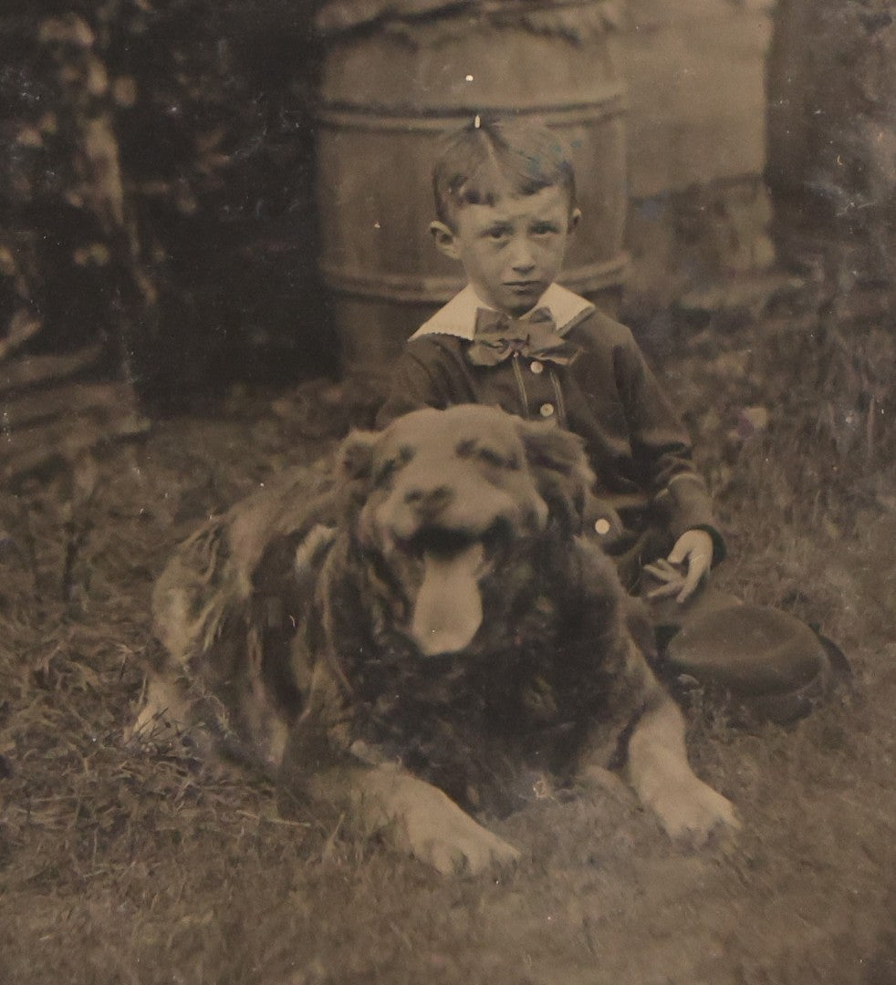 Lot 135 - Antique Uncased Tintype Photograph Depicting Young Boy And His Really, Really Happy Dog In Outdoor Setting