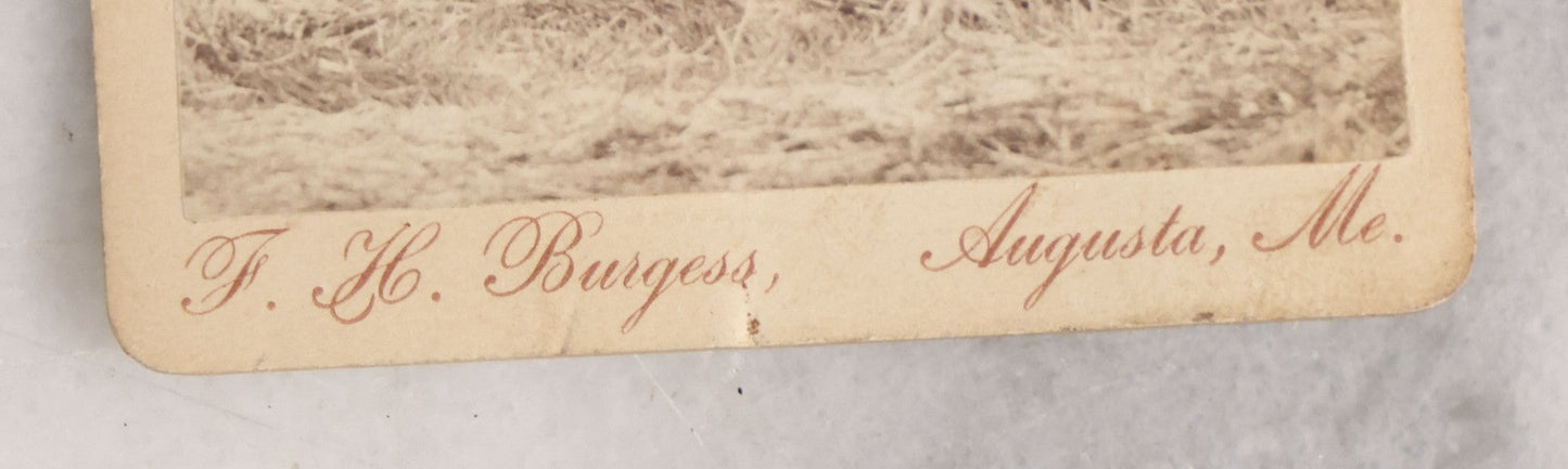 Lot 143 - Antique Carte De Visite CDV Photograph Of Young Man With Rifle, Outdoor Studio Scene, Photographed By F.H. Burgess, Augusta, Maine