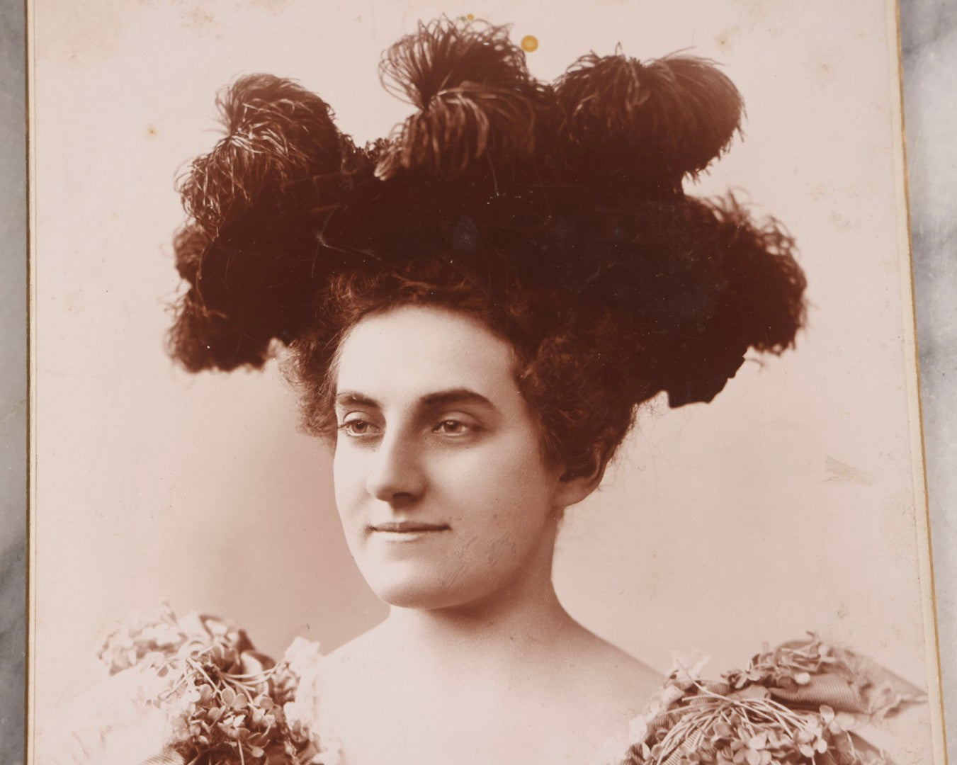 Lot 152 - Antique Large-Format Cabinet Card Portrait Of Woman With Elaborate Feathered Hairstyle Identified As “Auntie Bud Freeman,” Photographed By Frederick Gutekunst, Philadelphia, Circa 1900