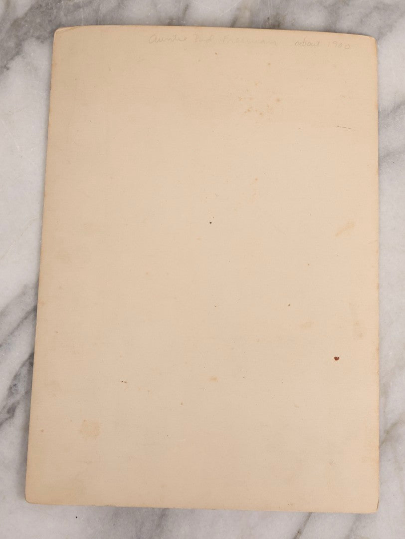 Lot 152 - Antique Large-Format Cabinet Card Portrait Of Woman With Elaborate Feathered Hairstyle Identified As “Auntie Bud Freeman,” Photographed By Frederick Gutekunst, Philadelphia, Circa 1900