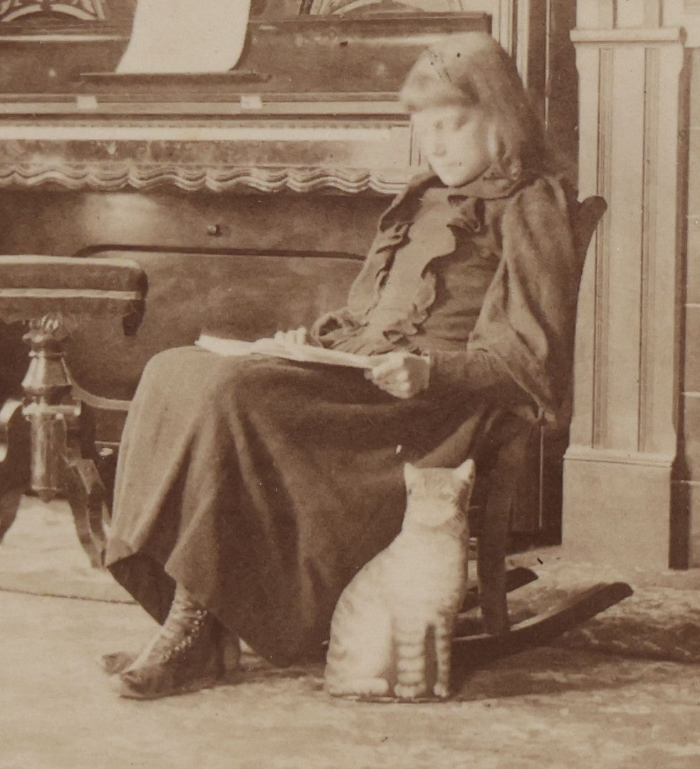 Lot 163 - Antique Boarded Interior Photograph Of Girl Identified As Ella In “Music Room” With Toy Cat, Dated April 30, 1893