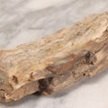 Lot 183 - Petrified Wood Specimen With Visible Grain Structure, 8" L