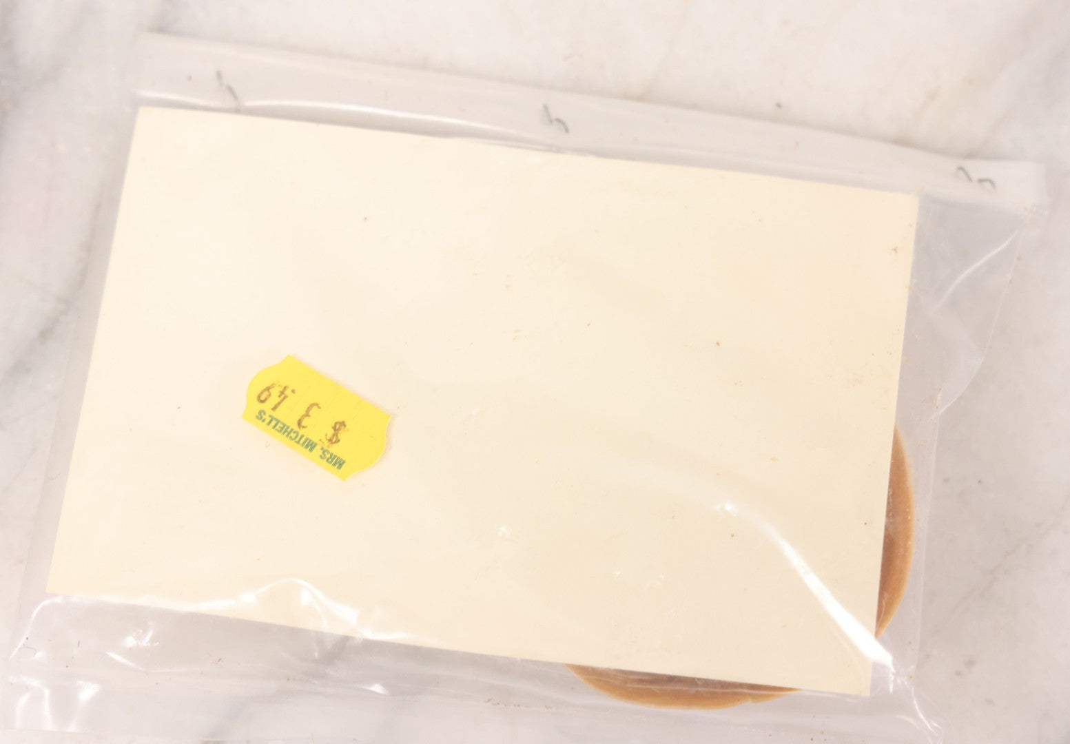 Lot 185 - Pair Of Natural Oddities Including Dried Puffer Fish And Horseshoe Crab "Living Fossil" In Plastic Bag