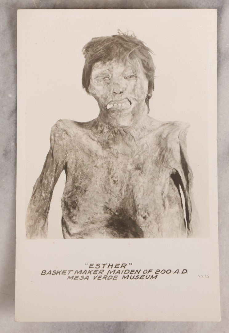 Lot 224 - Antique Real Photo Postcard Of Mummified Remains “Esther,” Basketmaker Maiden, Mesa Verde Museum, Undivided Back