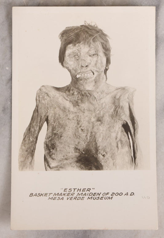 Lot 224 - Antique Real Photo Postcard Of Mummified Remains “Esther,” Basketmaker Maiden, Mesa Verde Museum, Undivided Back