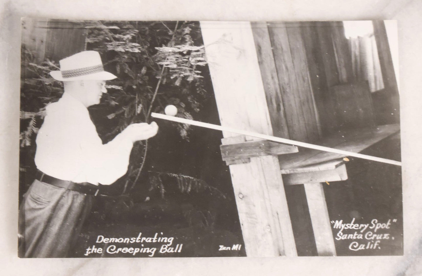 Lot 228 - Grouping Of Six Vintage Souvenir Photo Postcards Depicting Demonstrated Phenomena At The Mystery Spot, Santa Cruz, California