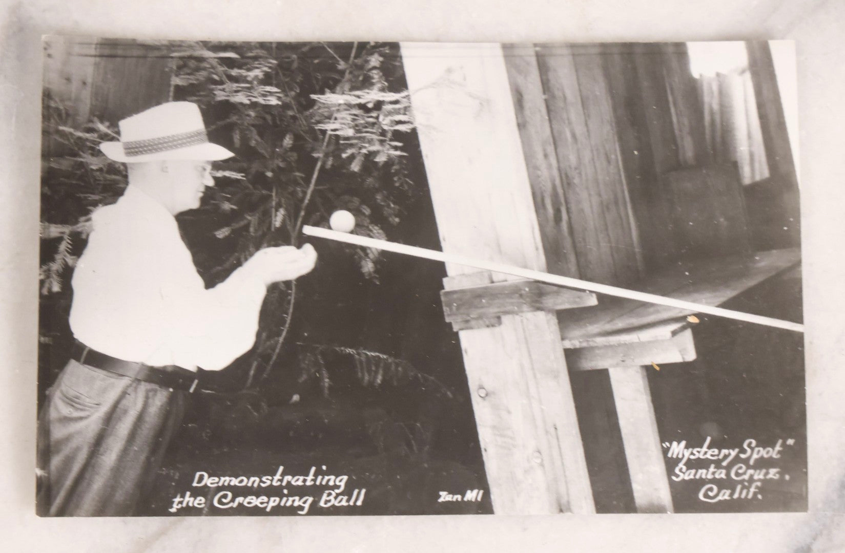 Lot 228 - Grouping Of Six Vintage Souvenir Photo Postcards Depicting Demonstrated Phenomena At The Mystery Spot, Santa Cruz, California