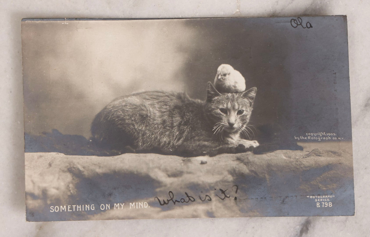 Lot 229 - Grouping Of Eight Antique And Vintage Cat-Themed Postcards Including Photographic Cards By The Rotograph Co., New York And Illustrated Anthropomorphic Cat Cards By Max Kunzli, Zürich, Switzerland