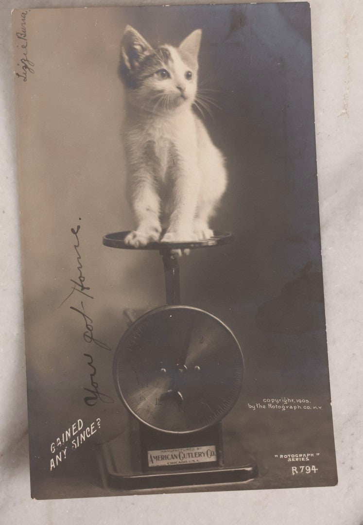 Lot 229 - Grouping Of Eight Antique And Vintage Cat-Themed Postcards Including Photographic Cards By The Rotograph Co., New York And Illustrated Anthropomorphic Cat Cards By Max Kunzli, Zürich, Switzerland