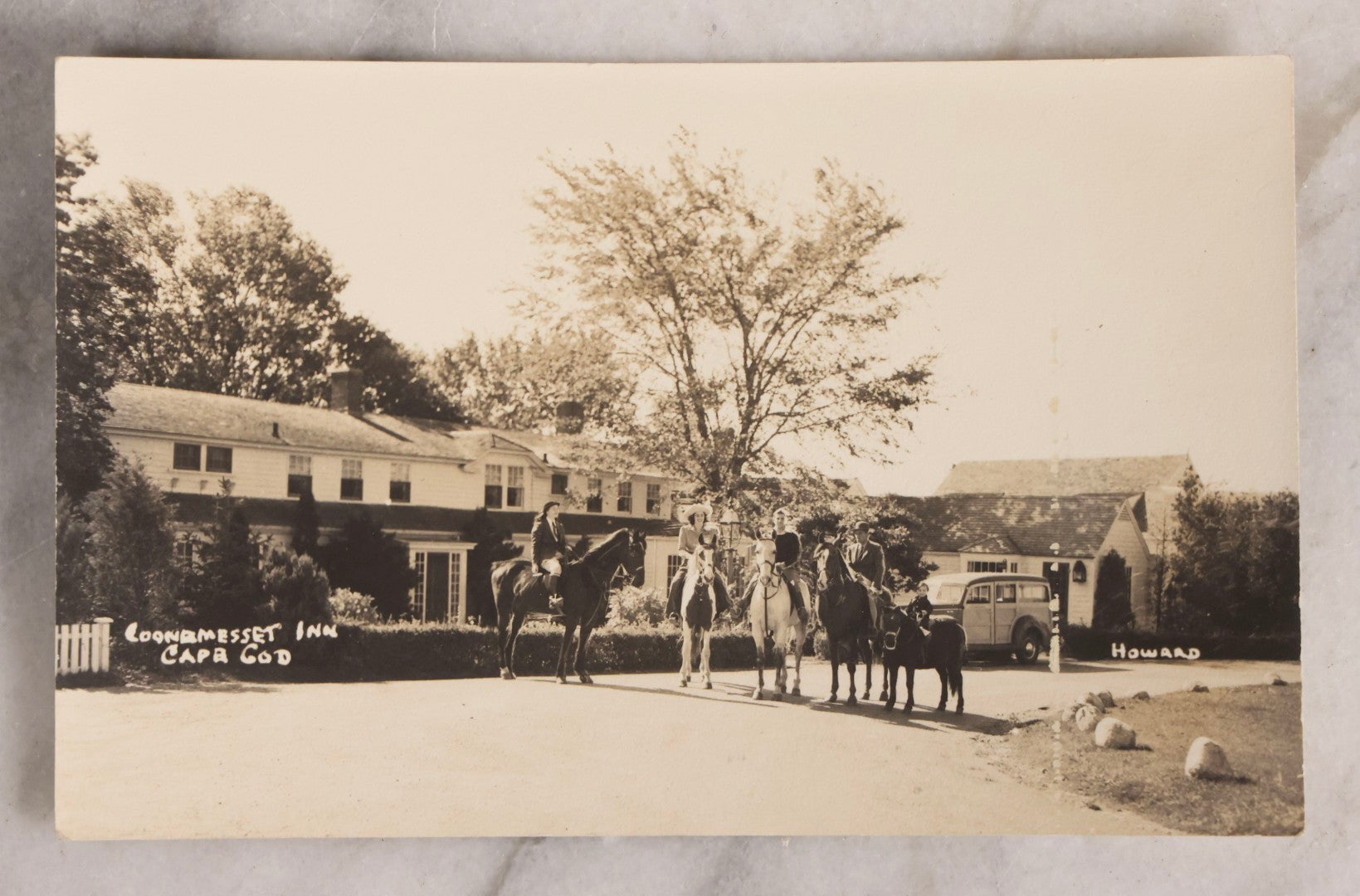 Lot 230 - Grouping Of Six Antique Animal Real Photo Postcards R.P.P.C.. Featuring Wildlife And Rural Scenes Including Bears, Deer, Cattle, Elk, And Horse-Drawn Carriage, Early 20th Century