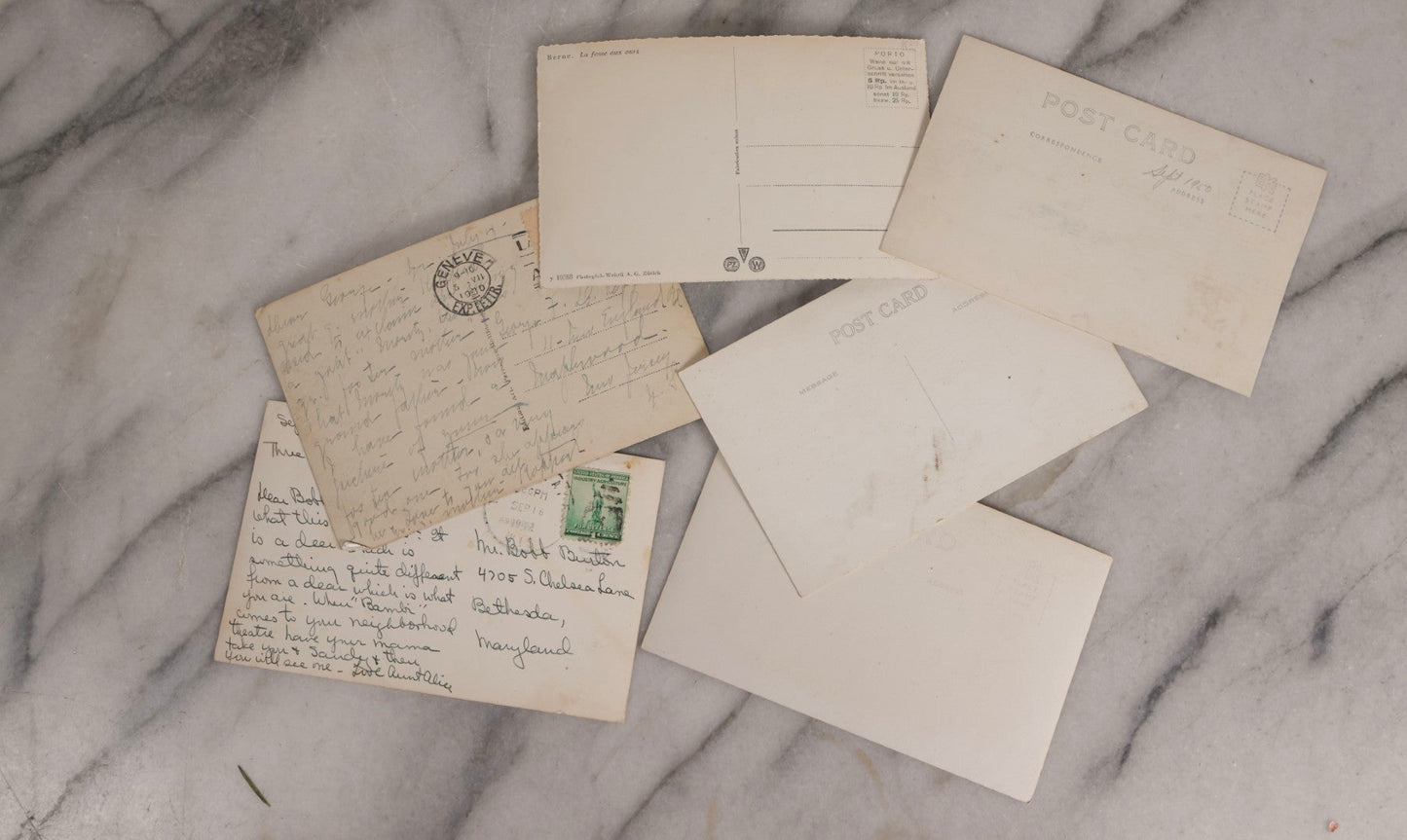 Lot 230 - Grouping Of Six Antique Animal Real Photo Postcards R.P.P.C.. Featuring Wildlife And Rural Scenes Including Bears, Deer, Cattle, Elk, And Horse-Drawn Carriage, Early 20th Century