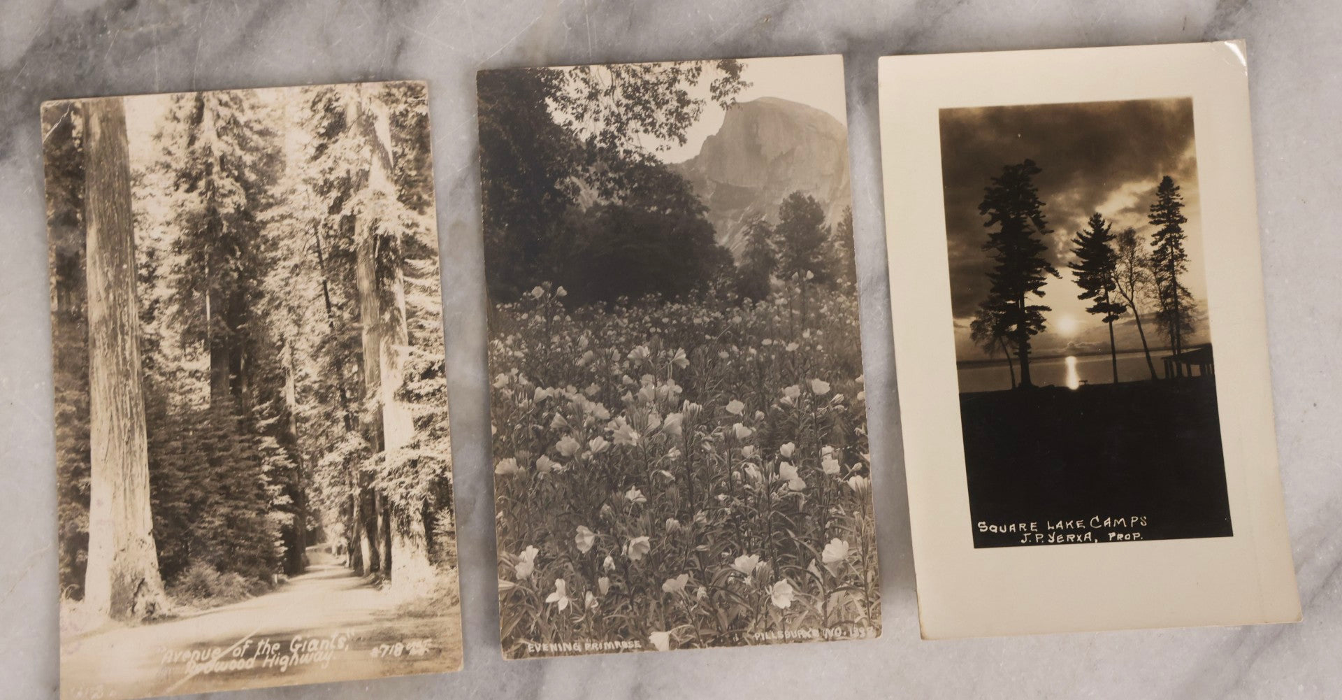 Lot 233 - Grouping Of 41 Antique Landscape And Seascape Real Photo Postcards R.P.P.C.., United States, Early 20th Century