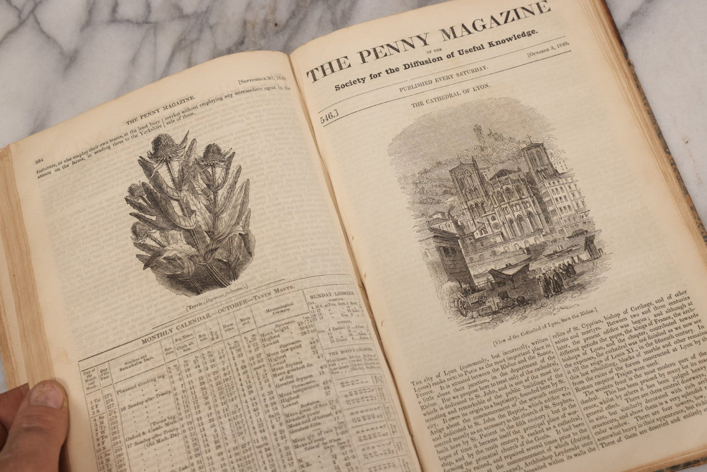 Lot 296 - Antique Bound Compendium "The Penny Magazine Of Society For The Diffusion Of Useful Knowledge" 1840, Published By Charles Knight & Co., London, With Marbled Cover Boards, Numerous Illustrations