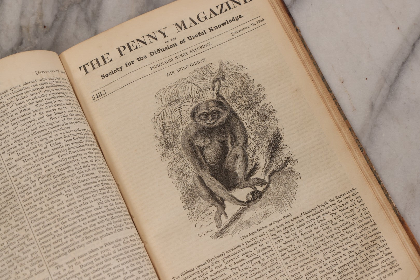 Lot 296 - Antique Bound Compendium "The Penny Magazine Of Society For The Diffusion Of Useful Knowledge" 1840, Published By Charles Knight & Co., London, With Marbled Cover Boards, Numerous Illustrations