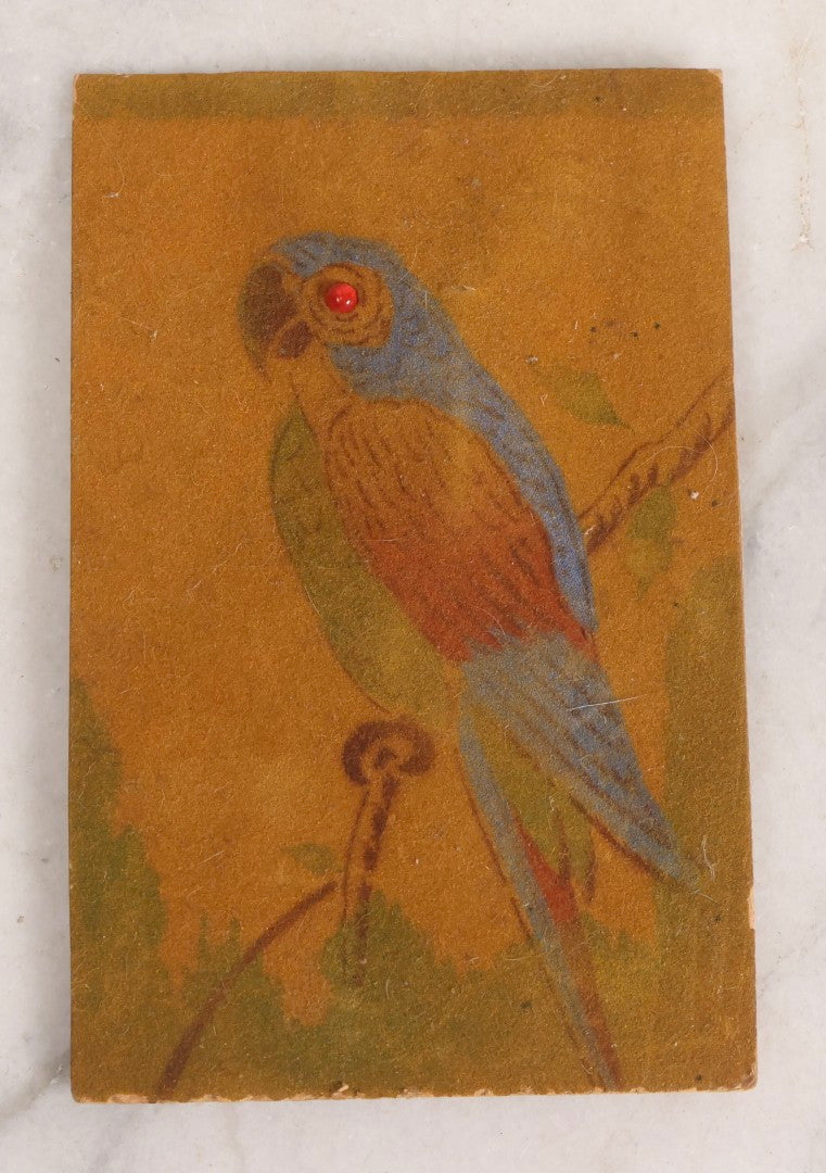 Lot 300 - Antique German Squeaker Postcard With Flocked Parrot And Glass Jewel Eye, Pittle Supply Co., New Bedford, Massachusetts, Circa 1907-1915