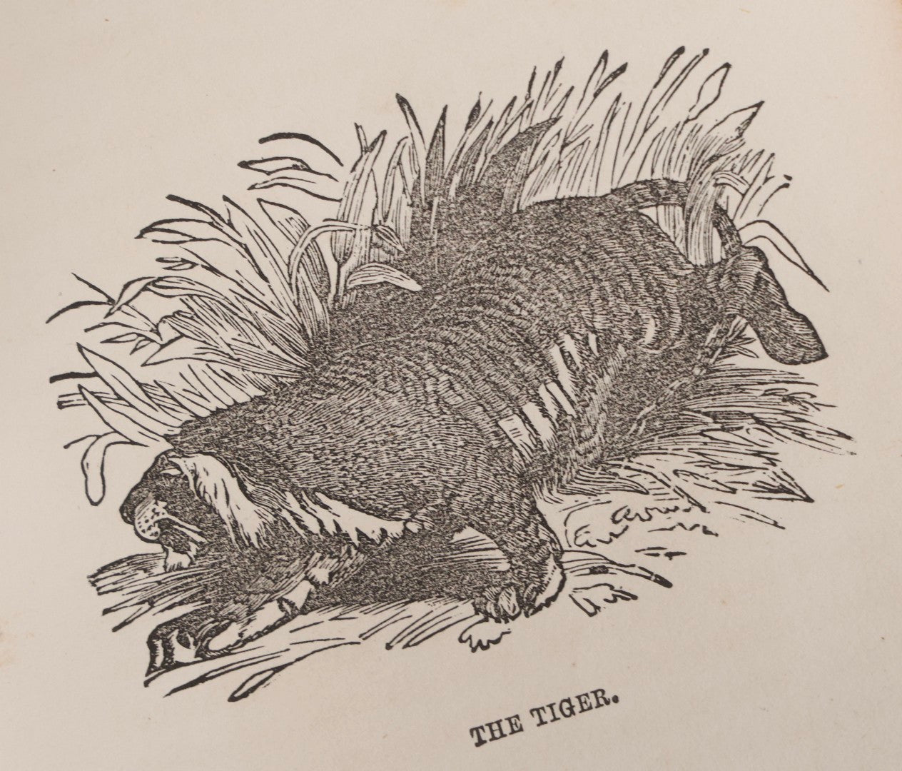 Lot 310 - "Adventures Of Hunters And Travellers, And Narratives Of Border Warfare" Antique Illustrated Book By An Old Hunter, Published By H. C. Peck & Theo. Bliss, Philadelphia, 1852