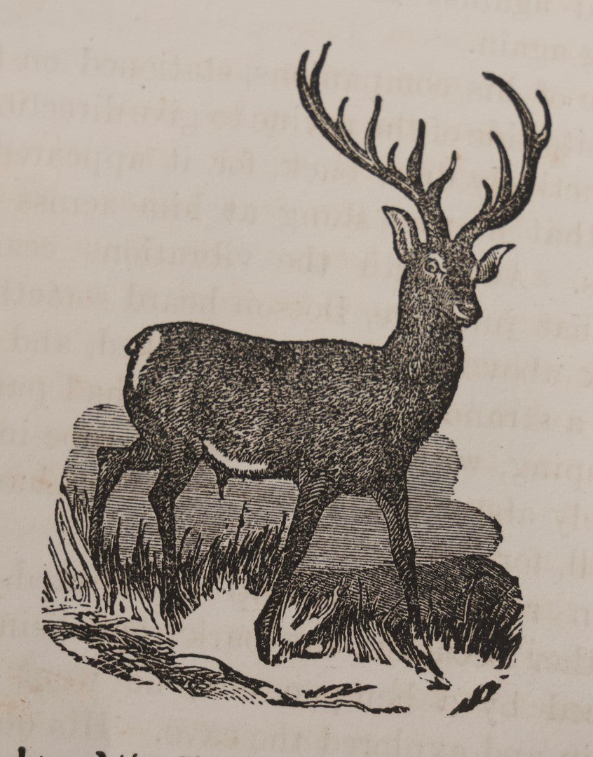 Lot 310 - "Adventures Of Hunters And Travellers, And Narratives Of Border Warfare" Antique Illustrated Book By An Old Hunter, Published By H. C. Peck & Theo. Bliss, Philadelphia, 1852