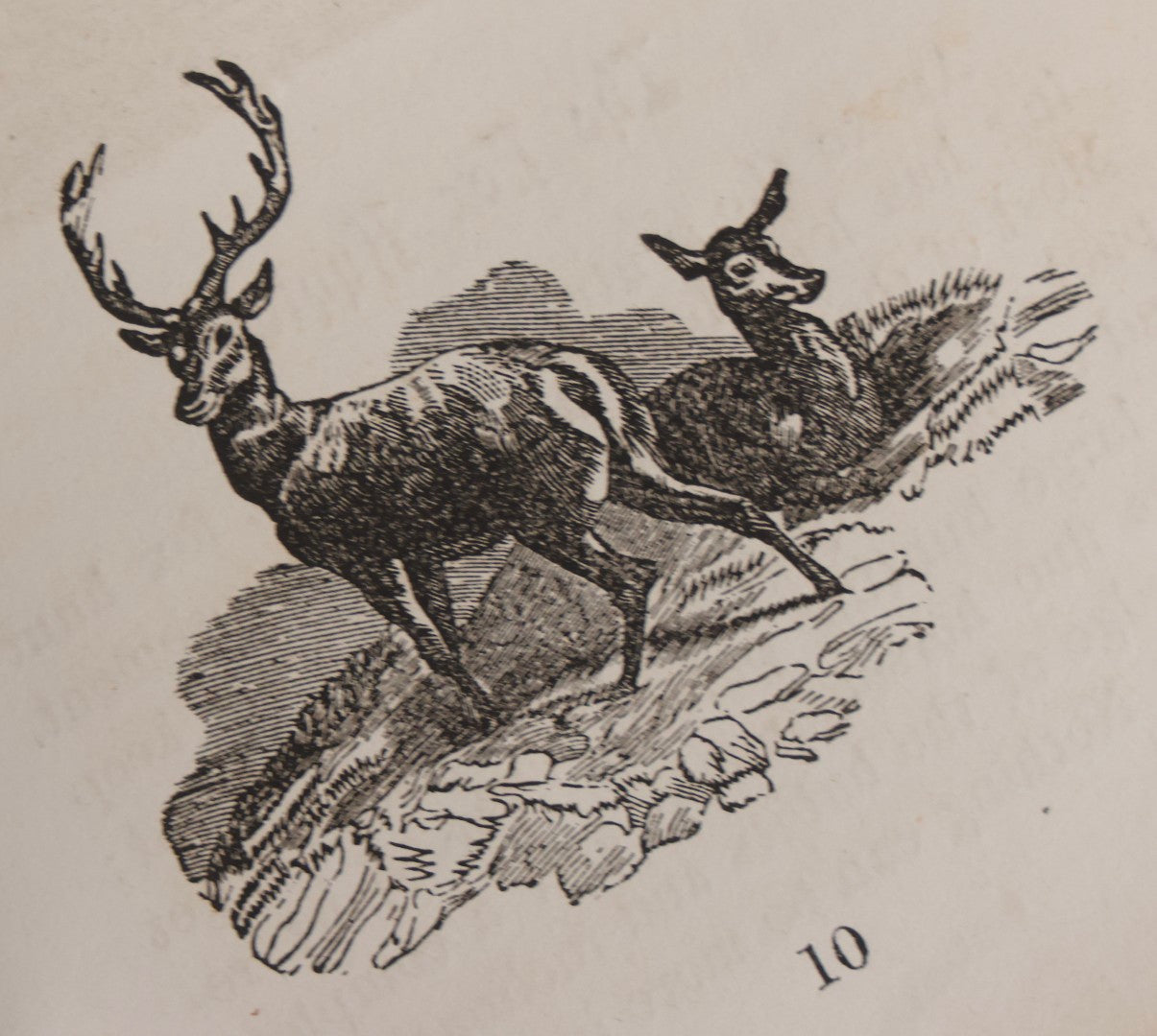 Lot 310 - "Adventures Of Hunters And Travellers, And Narratives Of Border Warfare" Antique Illustrated Book By An Old Hunter, Published By H. C. Peck & Theo. Bliss, Philadelphia, 1852