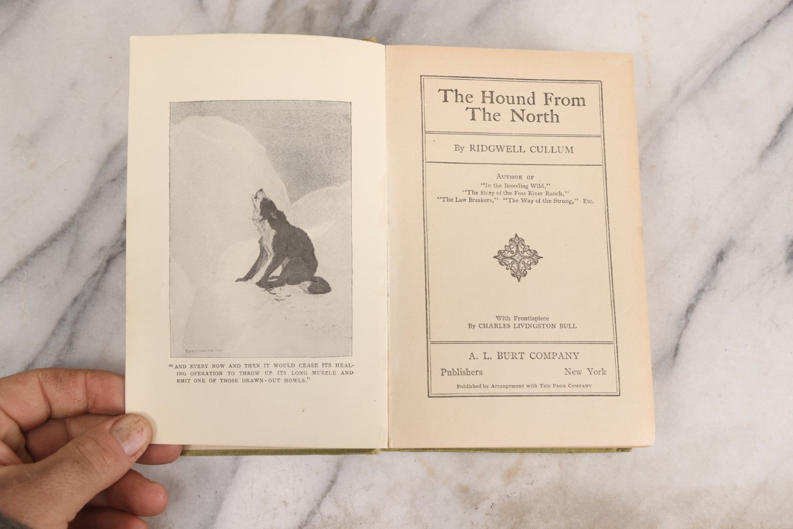 Lot 311 - "The Hound From The North" Antique Adventure Novel By Ridgwell Cullum, Published By A. L. Burt Company, New York, 1904