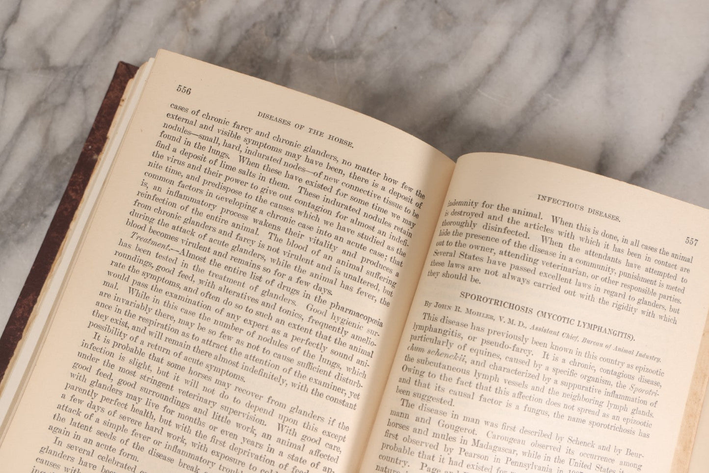 Lot 314 - "Diseases Of The Horse" Antique Veterinary Reference Book With Chromolithograph Plates, U.S. Department Of Agriculture, Government Printing Office, Washington, 1916