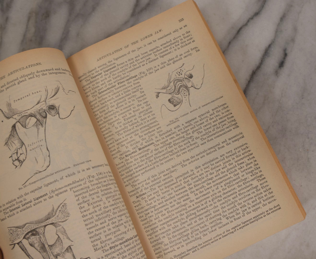 Lot 317 - Pair Of Vintage Medical Textbooks Including "Review Of Medical Physiology" 1981 And "Gray's Anatomy" Classic Collector's Edition With New Illustrations, 1977