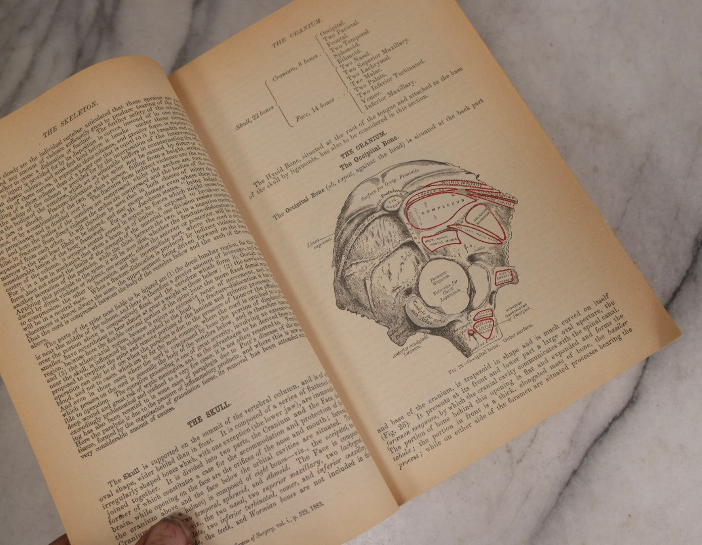 Lot 317 - Pair Of Vintage Medical Textbooks Including "Review Of Medical Physiology" 1981 And "Gray's Anatomy" Classic Collector's Edition With New Illustrations, 1977