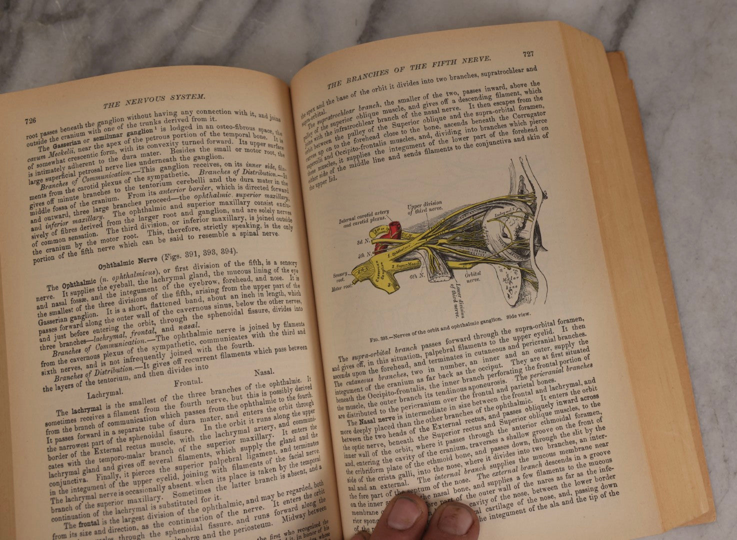 Lot 317 - Pair Of Vintage Medical Textbooks Including "Review Of Medical Physiology" 1981 And "Gray's Anatomy" Classic Collector's Edition With New Illustrations, 1977