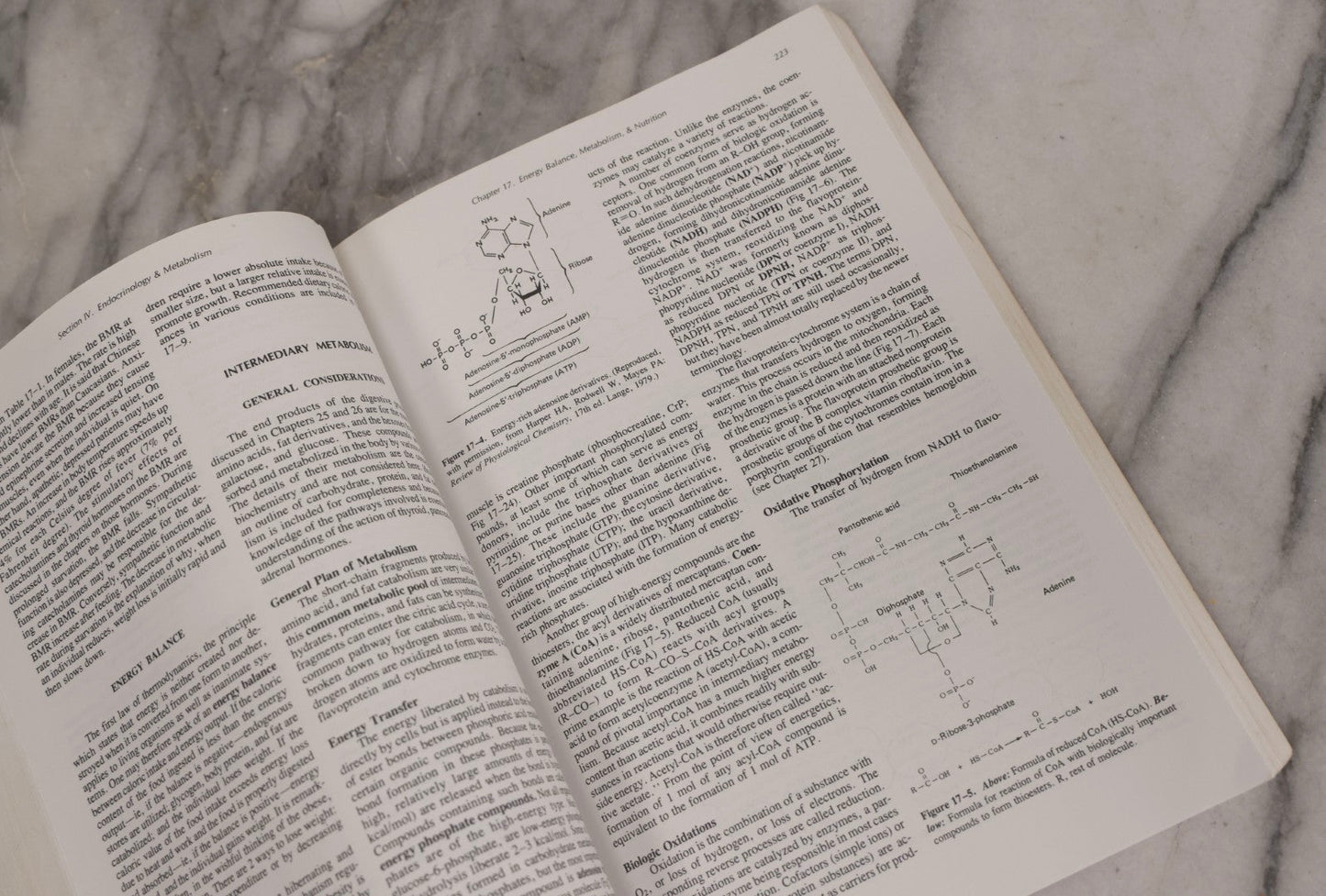 Lot 317 - Pair Of Vintage Medical Textbooks Including "Review Of Medical Physiology" 1981 And "Gray's Anatomy" Classic Collector's Edition With New Illustrations, 1977