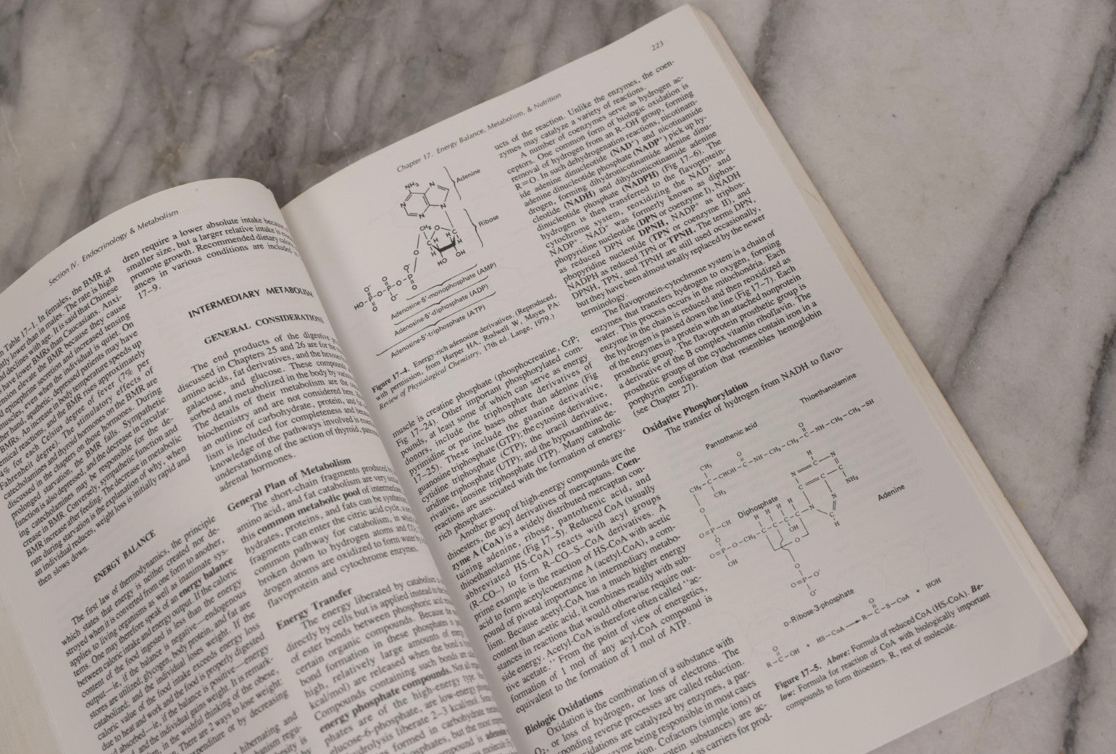 Lot 317 - Pair Of Vintage Medical Textbooks Including "Review Of Medical Physiology" 1981 And "Gray's Anatomy" Classic Collector's Edition With New Illustrations, 1977